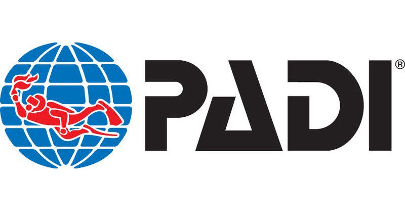 book Improve Your Coaching and Training Skills 2008