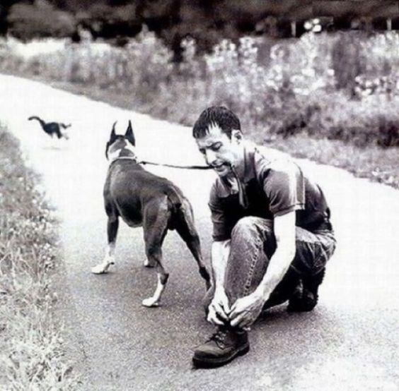 9 de cada 10 dentistas recomiendan no atarse los zapatos mientras paseas al perro.