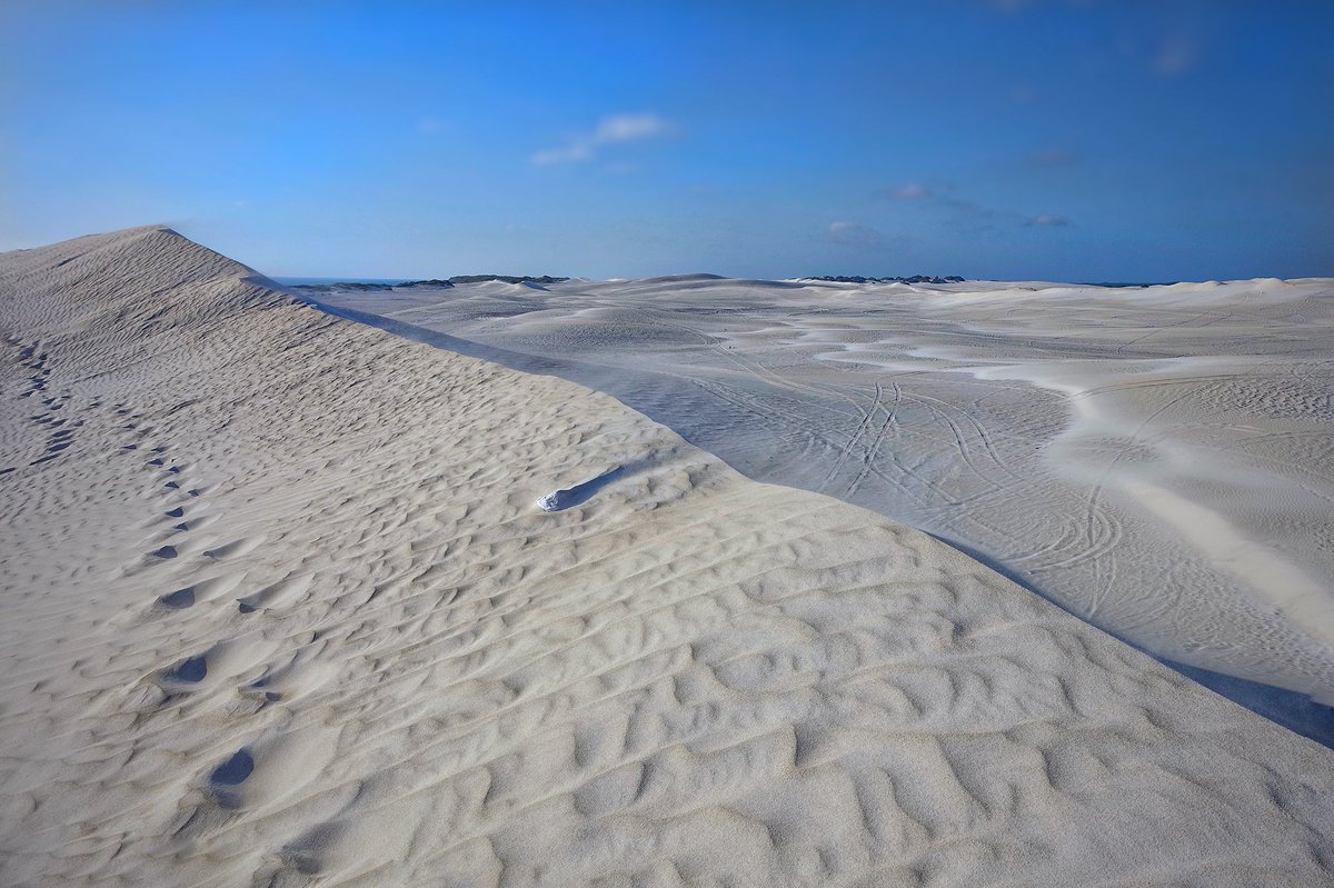 Ipaintatnight's tweet photo. Stretches of breathtaking #landscape of powdery pure #whitesanddunes splendid for #sandboarding #Lancelinsanddunes #Lancelin #Perth #travel #photography https://t.co/nJ8veikkc8
