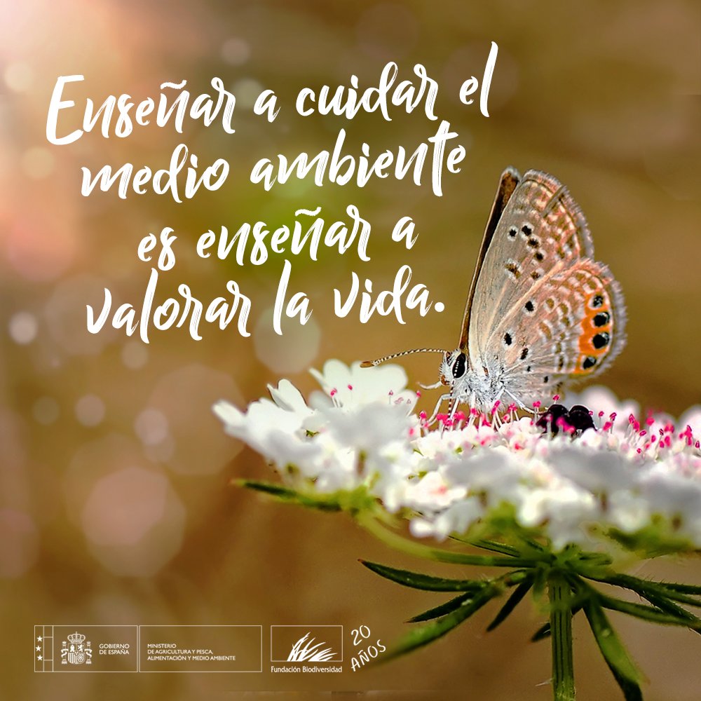 Educar desde la infancia sobre el respeto y cuidado de la naturaleza es fundamental para el futuro del #MedioAmbiente. 👩‍🏫 #Frase