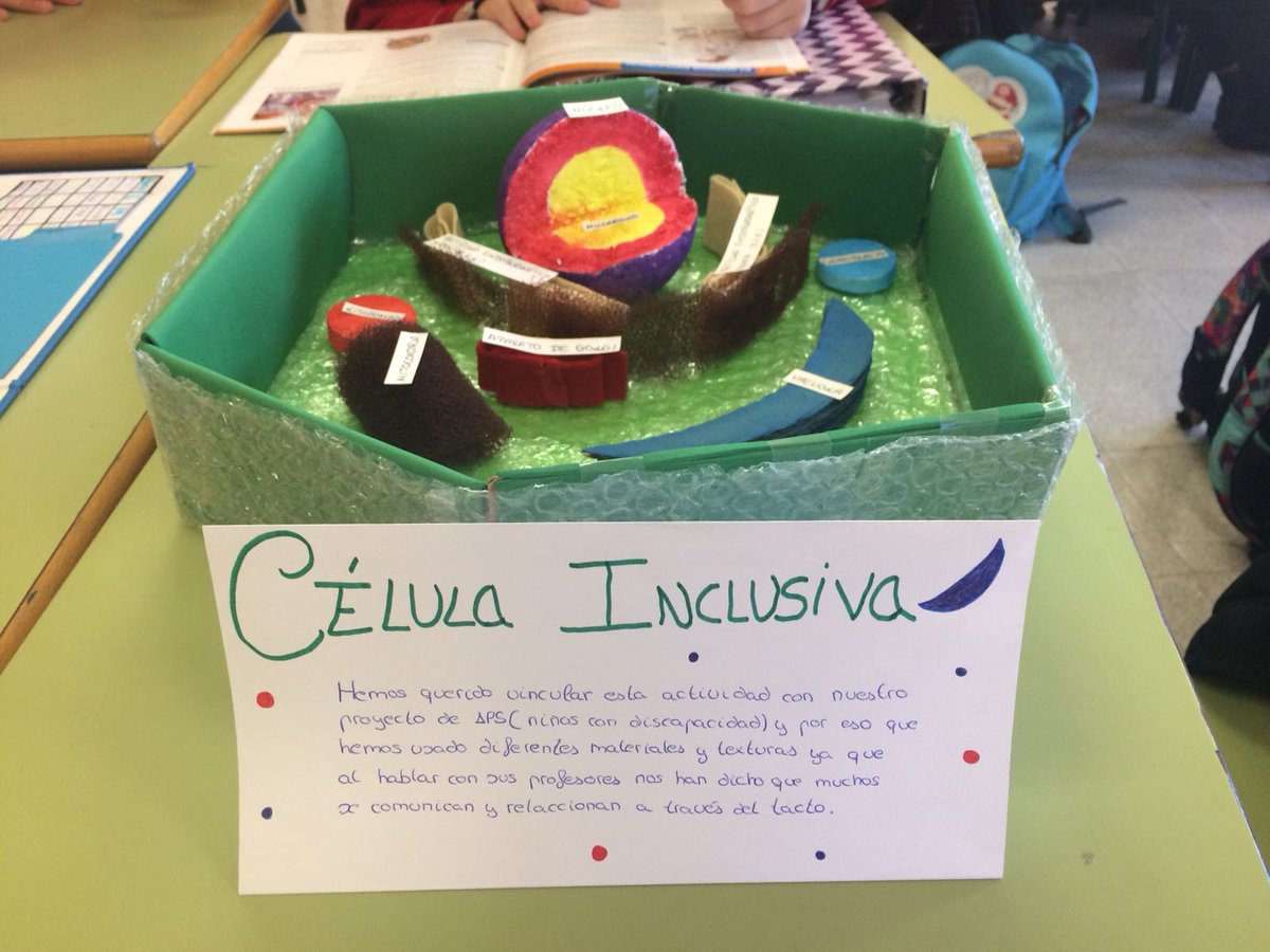 SanGabriel_MDR's tweet photo. Terminamos el proyecto d CelulaMANÍA con un producto final de 3DCell. Hay células luminosas y algunas muy inclusivas! #3Bio https://t.co/zpGjQqHblB