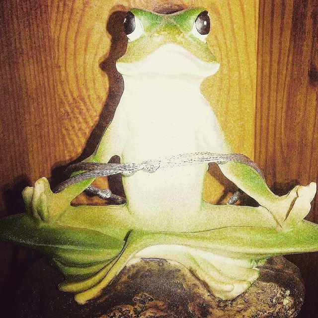 PsychiclyRaven's tweet image. #DailyDivinity with Budda Frog: "Dear ones, I have seen that even as you past the beginning stage of 2018; you have still so much learn. The essence is within you. Stop worrying. Stop lowering your vibrational frequency because of not getting what you wa… ift.tt/2E5I2Wy
