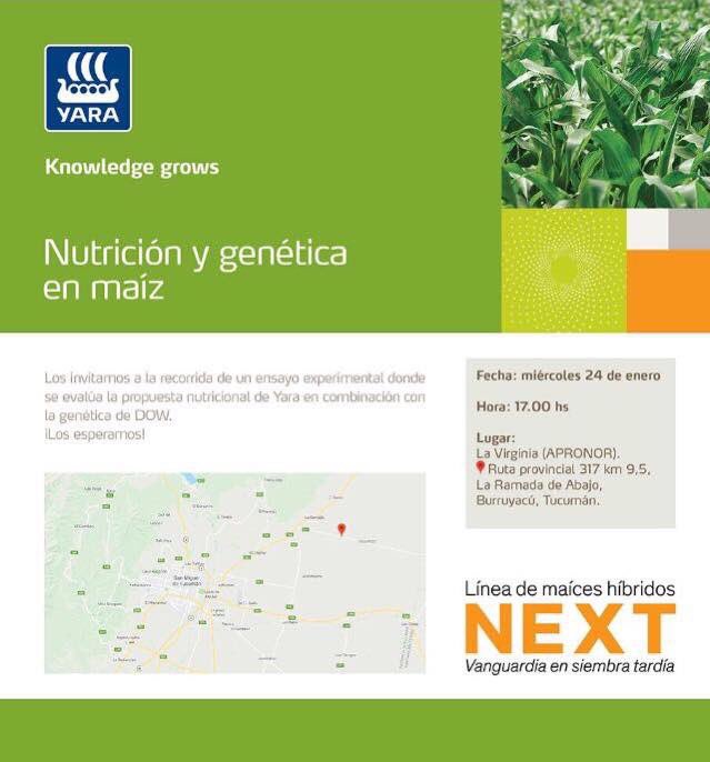 proagrosrl's tweet photo. HOY 🗓 👉🏼 Nutrición y genética en #maiz 🌽 de la mano de @yara #Nutrition #Corn @DowChemical #MasYara @ExpoApronor https://t.co/7Usl1ao5rd