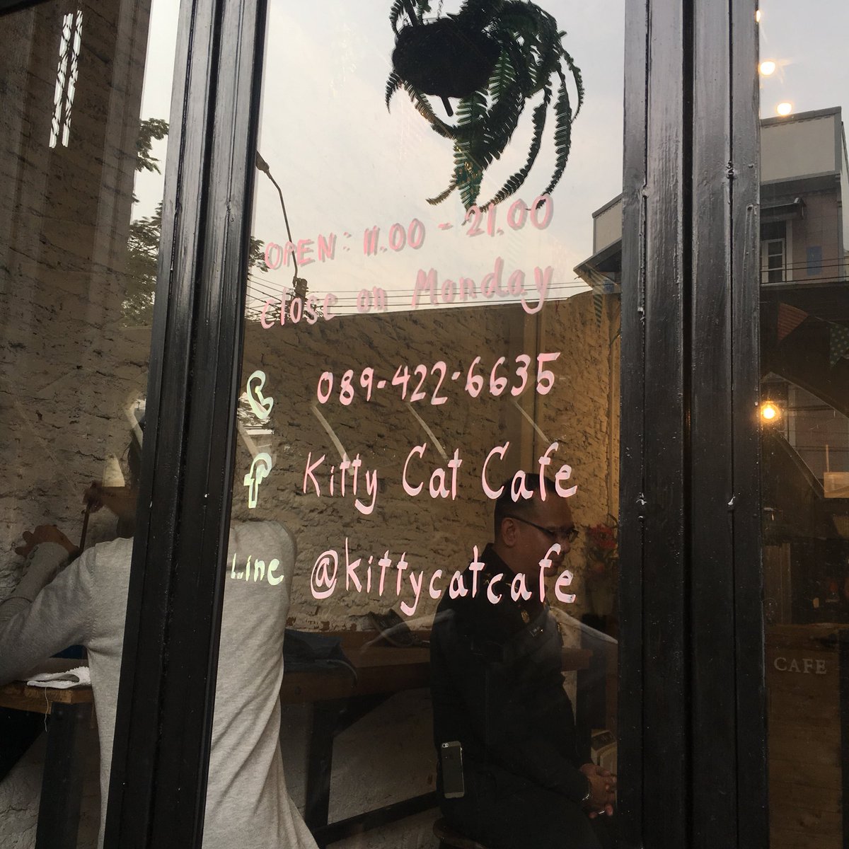 koong_smurfs's tweet photo. ตอนนี้เราอยู่ที่ Kitty cat cafe ใครเป็นทาสแมว😽ไม่ควรพลาด ร้านเปิดเวลา 11:00-21:00 ปิดทุกวันจันทร์ อยู่แถววัดตรีทศเทพ ตรอกตรงสะพานเลยจร่า😍#MCT3 https://t.co/Gyy4Tz6Z2n