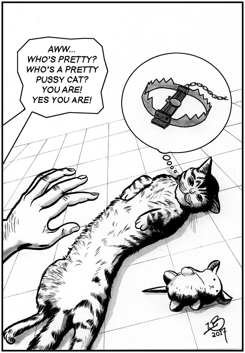 Nick Stacey On Twitter Catfanciers Get It Look Like The
