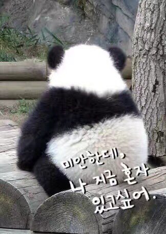 포에버포뷔🌸 tweet media