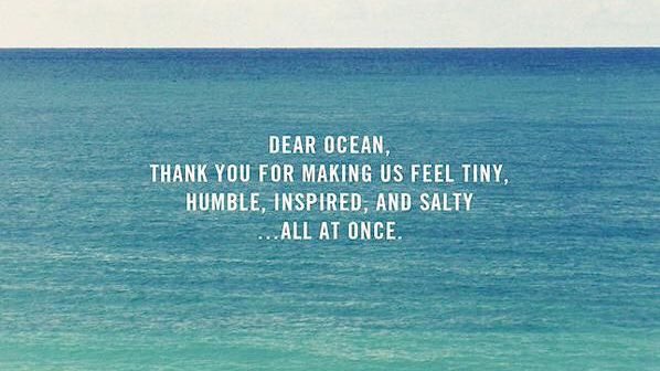 SamuiTurquoise's tweet image. #motivational