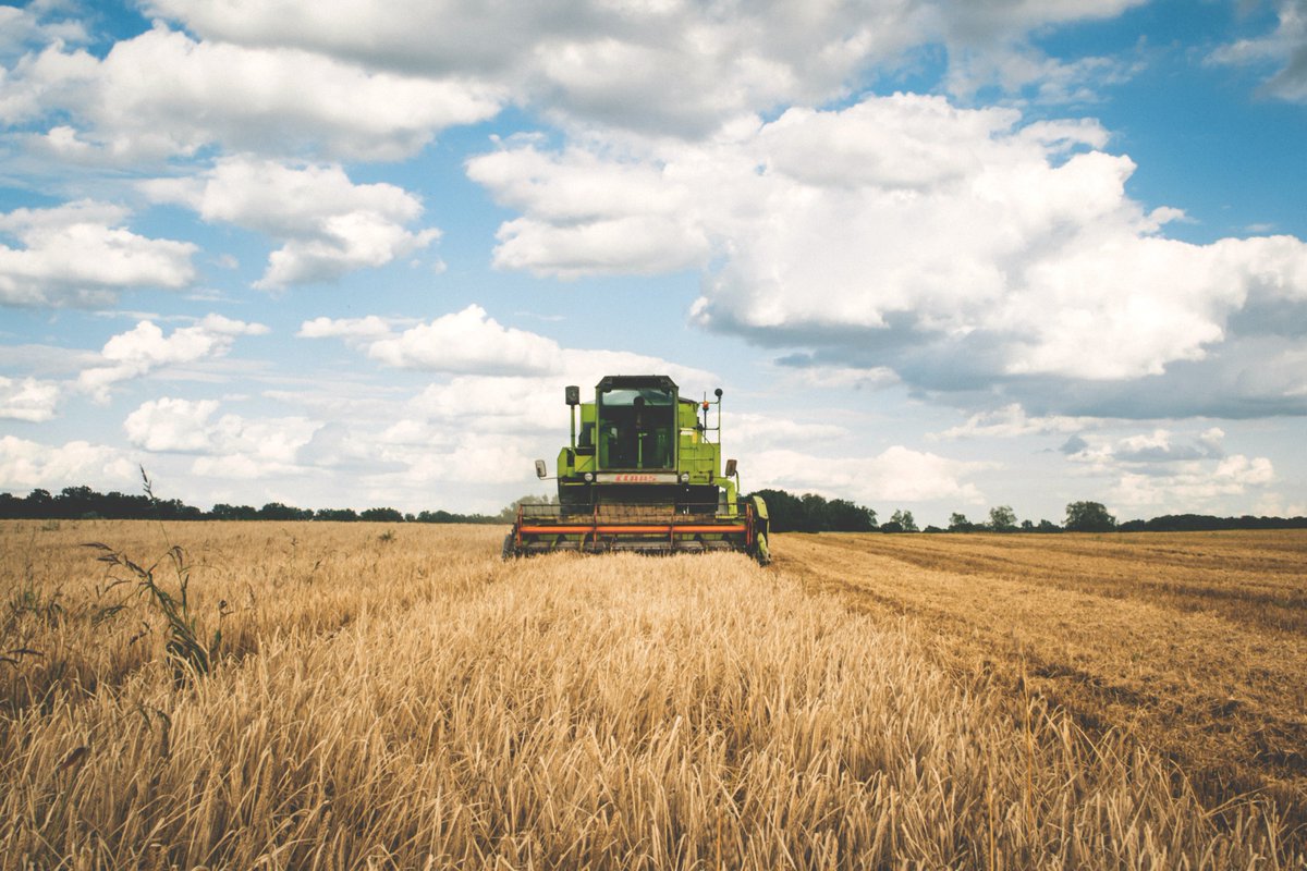 Civ_Zingaretti's tweet photo. Il @polimi certifica: il settore #Agricoltura 4.0 vale oltre 100 mln di euro (https://t.co/xscmMn84sR) In @RegioneLazio ne abbiamo stanziati quasi 90 in 5 anni sostenendo più di 1200 giovani agricoltori: è per questo che votiamo @nzingaretti, con la testa e con il cuore. https://t.co/ytgoLZvSS2