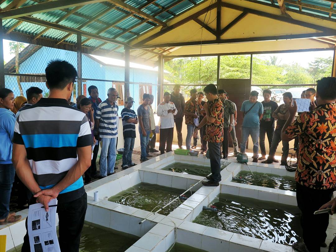 PPBsingkawang's tweet photo. bukan tentang siapa yang hebat tetapi tentang siapa yang ihklas dan tulus untuk mengabdi 
@mzulficar @dpp_ipkani @fisheris_ @BudidayaKKP @brsdm_kp #ppb_indonesia #ppbsingkawang https://t.co/6ycmZzhkXy