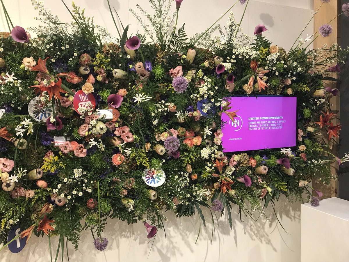 bloemenbureau's tweet photo. Dutch Flower Group laat op #IPMEssen goed zien hoe onze campagnes aansluiten bij de sierteelt #groeiplatformen #stand1D12 https://t.co/b5y1svAh4F