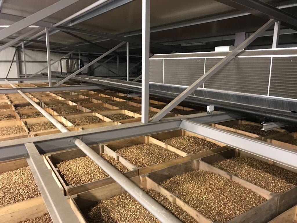 onionsets's tweet photo. Erg blij vandaag met onze prima bewaarsysteem zonder buitenlucht!
Buiten +13😅, binnen mooi stabiel op 5 zonder “zweet”
#warmtepompsysteemzonderbuitenlucht.
#qualityinside @onionsets @BejoZaden @DeGrootenSlot https://t.co/JsQAfGA90C
