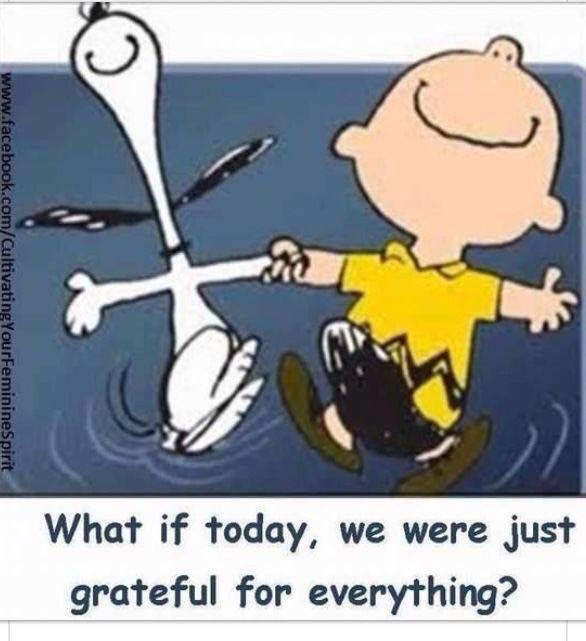 DAMHealthyFit's tweet photo. As you start your day #BeGrateful #DAMHealthyFitness https://t.co/vRUKrLMQAp