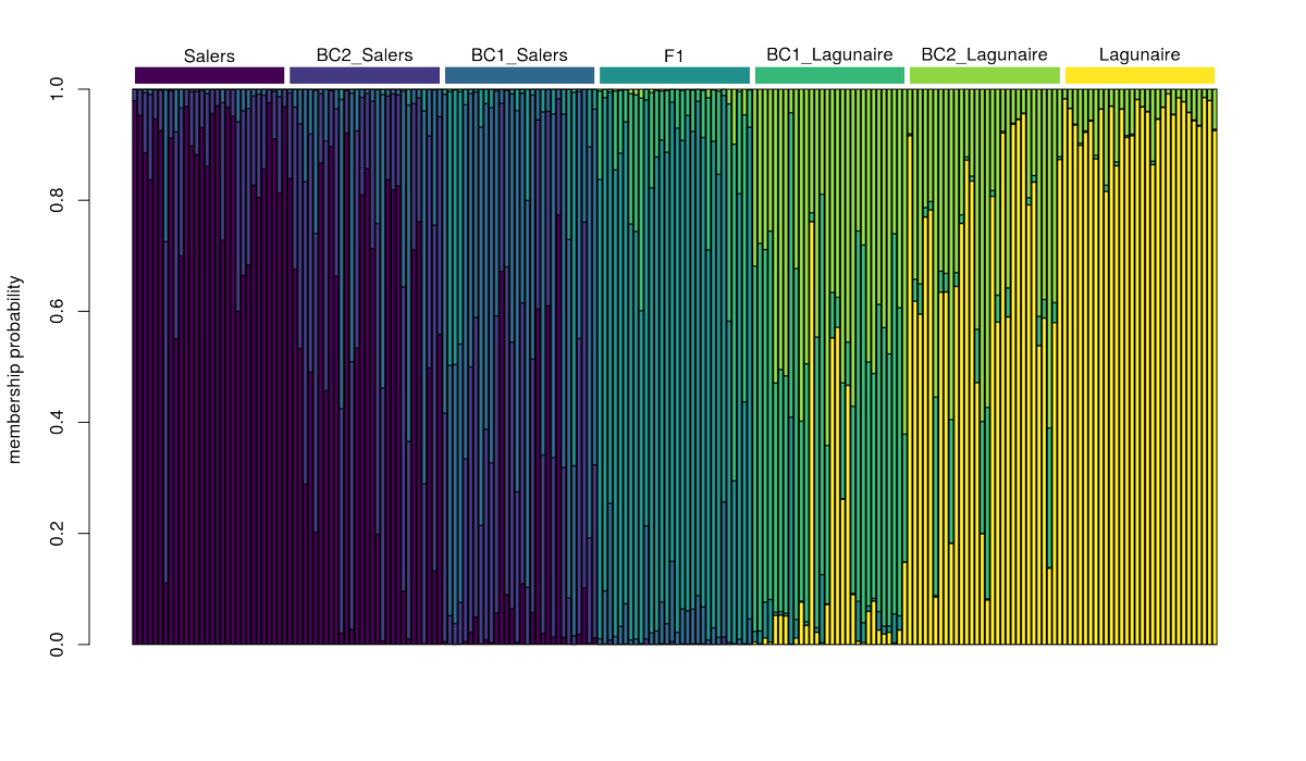 Results of snapclust in presence of hybrids with low levels of genetic differentiation. Example using simulated F1, first and second generation backcrosses in bovine microsatellite data 'microbov'.