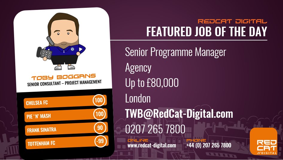 RedCat Digital tweet media
