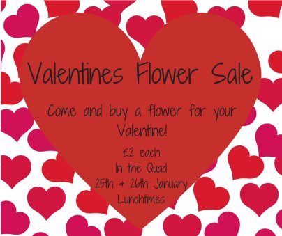 Don't forget to buy flowers this Thursday and Friday lunchtime for your Valentines!#valentine #cupid #supportyourschool
