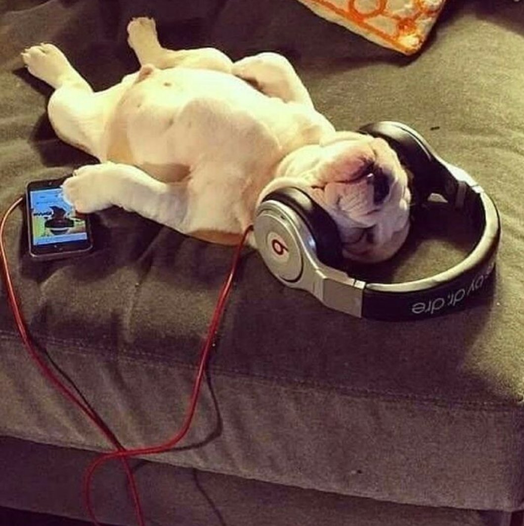 EddieRomanMedia's tweet photo. I'm dog tired but got to finish what I started this week & go to this evening 7pm class tonight smh #OperationLGN Hell Week #2adays #d4sm #fitnessmotivation #whereisRho #kingdomtravels #gymlife #goals @antaresbrown @MensHealthMag @muscle_fitness https://t.co/iwryAmfcBf