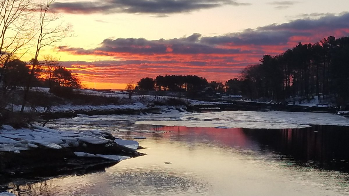 Beachmere Inn tweet media