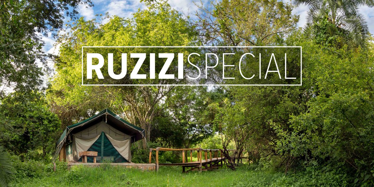 #RuziziTentedLodge is offering another package deal, low-season special for April 2018 - Contact the bookings team for more info! #Akagera #RemarkableRwanda #Rwanda #Wildlife mailchi.mp/b12a0251bad0/s…