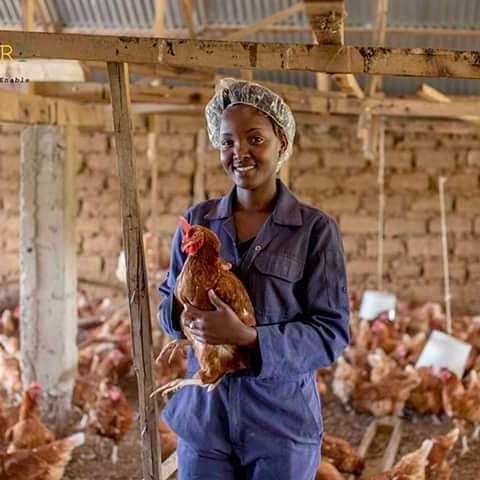 #Ouganda🇺🇬 #AGROBUSINESS #LesFillesQuiFontBougerAfrique

Mon nom est Scovia Ngarambe, j'ai un diplôme en Technologie de l'Information de l'Université internationale de Kampala.
Je possède un élevage de volailles dans le secteur de Mayange dans le district de Bugesera.