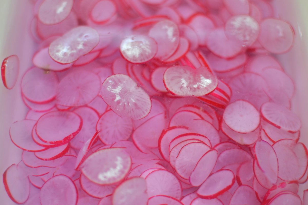 New blog on Pickling basics, READ ME #vegpower #picklingperfection #kitchenfun @Country_Fare <a href="/rivercottage/">River Cottage</a> <a href="/DianaHenryFood/">Diana Henry</a> great rainy day fun crabapplecatering.co.uk/blog/2018-01-2…