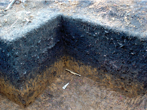 eosense's tweet image. #SpatialVariability of #SoilRespiration in Archaeological #DarkEarth areas in the #Amazon: ow.ly/5g1m30hX15H 
#efflux #NaturalForests @UFAM_ @unicampoficial