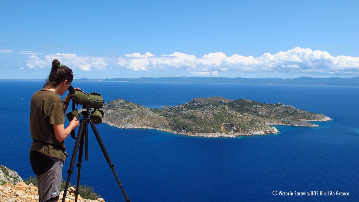 SaveSeabirds's tweet photo. Well done @ornithologiki for your work to successfully extend Greece’s #Natura2000 network. Great news for seabirds, monk seals, marine turtles and dolphins!! #SaveSeabirds #OceanAlert https://t.co/xDj3moZB3g https://t.co/VO1mfzl0nK