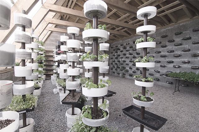 halifaxnoise's tweet photo. From @fbm_design — Hope Blooms Community Greenhouse, Halifax NS
.
.
.
#fbm #peopledrivendesign
#architecture_hunter #architecture #architects #drawing #structure #architecturedrawing #dwellmagazine #landscape #explorens #modernhome #designboom #halifaxn… https://t.co/FlmnT7xZOr https://t.co/qmkJHb5HkB