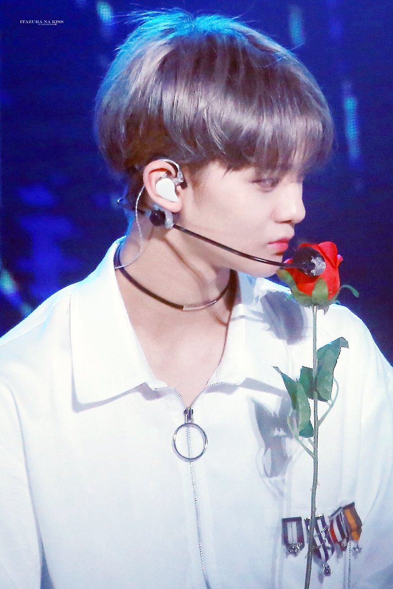 itazuranakissJY's tweet photo. rosy, foggy, lovely.

#배진영 https://t.co/VGB87IxVJZ