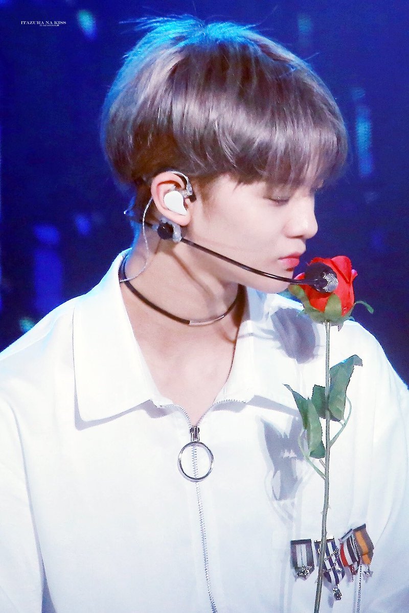 itazuranakissJY's tweet photo. rosy, foggy, lovely.

#배진영 https://t.co/VGB87IxVJZ
