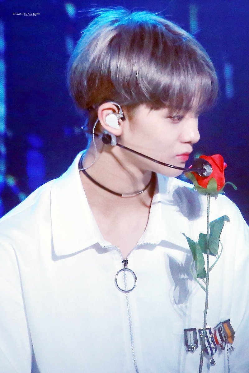 itazuranakissJY's tweet photo. rosy, foggy, lovely.

#배진영 https://t.co/VGB87IxVJZ