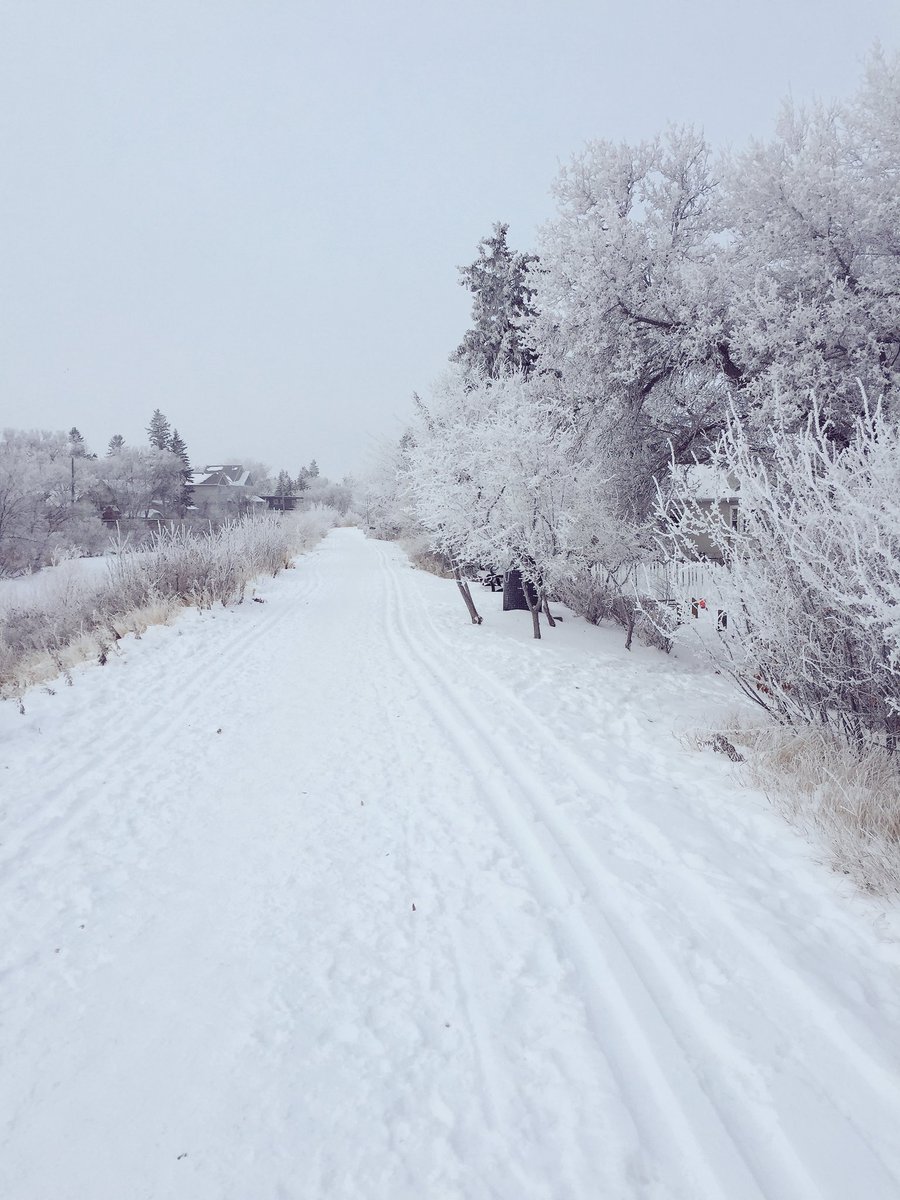robinberg13's tweet photo. Beautiful walk #CBCSKWinter https://t.co/IXiMCtUyGG