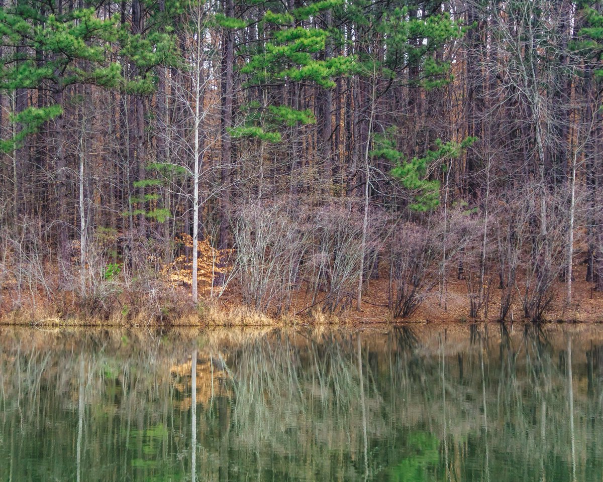 Shoreline Grid
#binded #ThePhotoHour #reflection