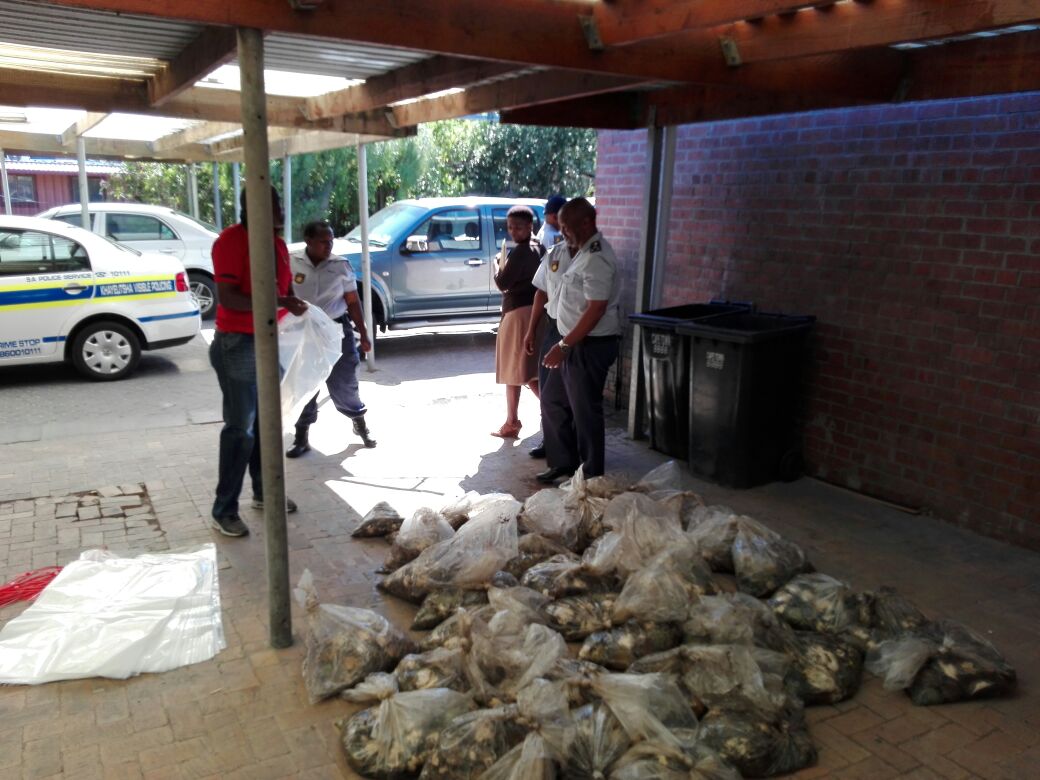 Nasiphi_Same's tweet photo. WC SAPS discovered 3717 units of abalone with an estimated street value of R1.11 million abandoned at the intersection of Lansdowne Road and Mew Way in Khayelitsha today @ann7

📷 #WcSAPS https://t.co/BSnwfYJV50
