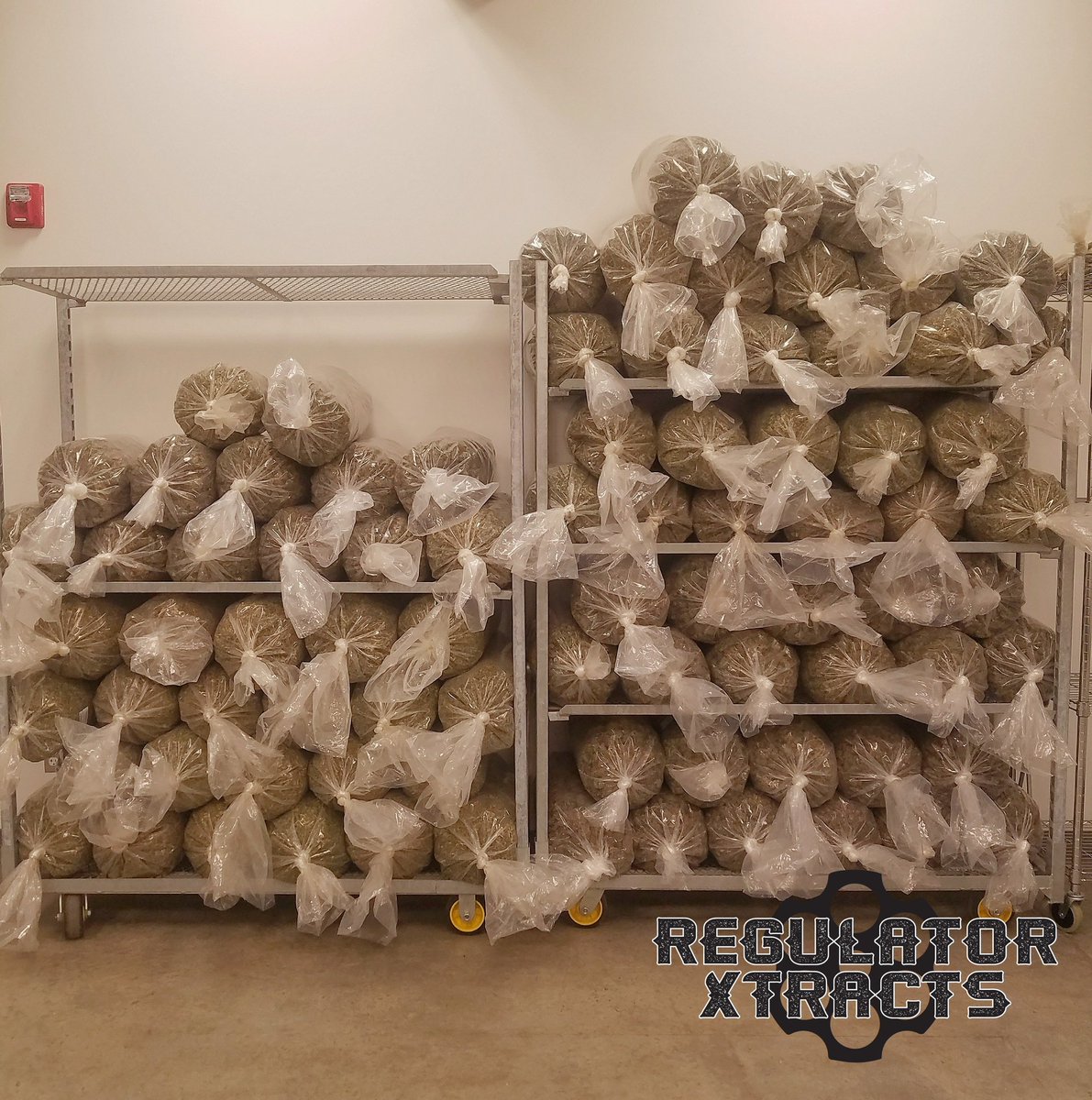 Regulator Xtracts (Regulator_710) Twitter