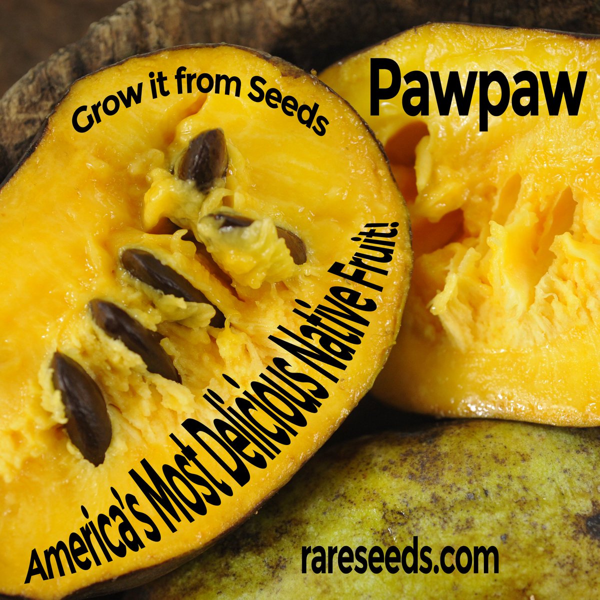 Baker Creek Seeds on Twitter "The moment you have all been waiting for