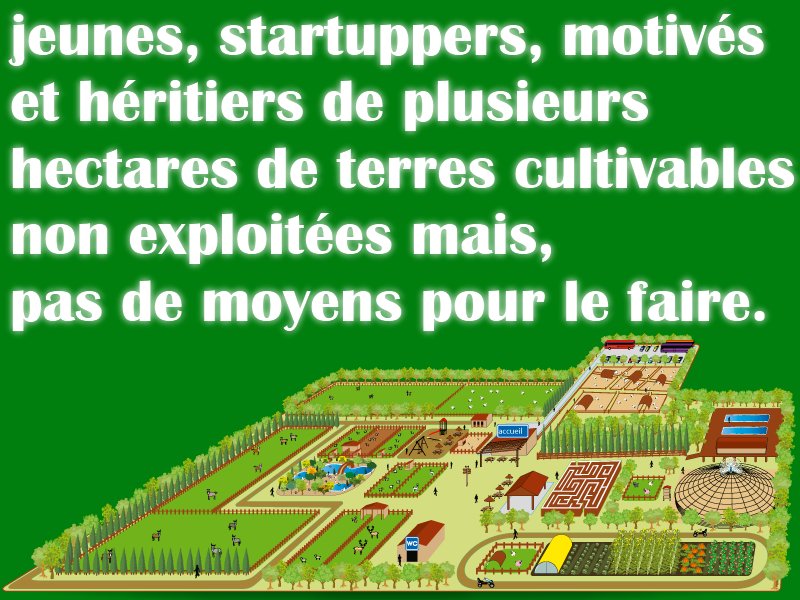 MaVirtuel's tweet photo. En #Afrique des #jeunes, #motivés et #héritiers de plusieurs #hectares de #terres #cultivables non #exploitées, n'ont pas souvent les #moyens pour l'#exploitation. Quelles #solutions ou #conseils pour eux?#agriculteurs #investisseurs #financiers #startups @TV5MONDE #Togo #invest https://t.co/FP6XQW5TOC