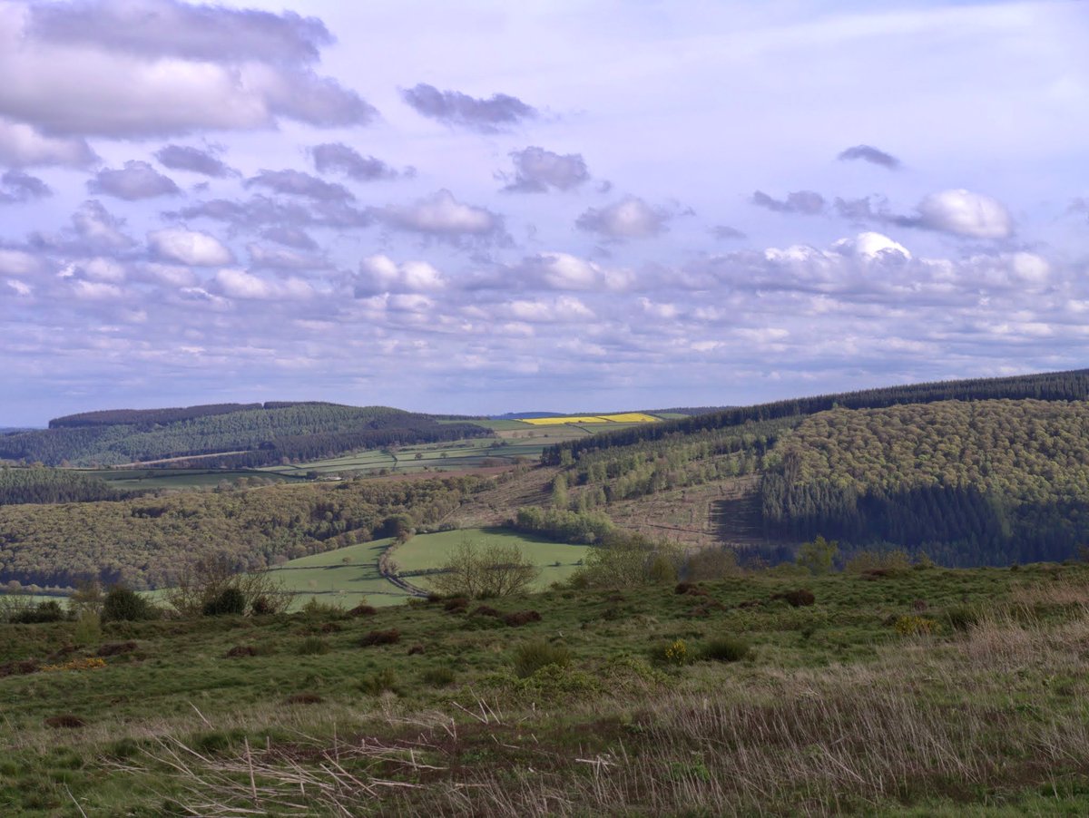 Round_AboutWalk's tweet photo. Is #visiting fantastic #scenery on your #bucketlist2018? Then why not visit the stunning #shropshirehills and enter the #roundandaboutwalk for @Bloodwise_Mid here https://t.co/EZhlsgMSMb When you enter you'll be helping patients beat #bloodcancer https://t.co/VtxA1uUizg