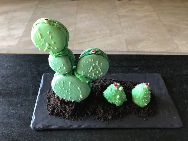 #cardiology@cabo entering the photo contest!  Submit your entry by Thursday morning!