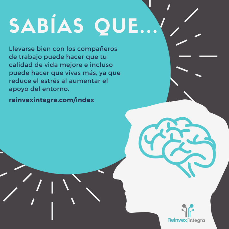 ReinvexIntegra's tweet photo. Llevarse bien con los compañeros de trabajo puede hacer que tu calidad de vida mejore... https://t.co/VAcFVfM2sh