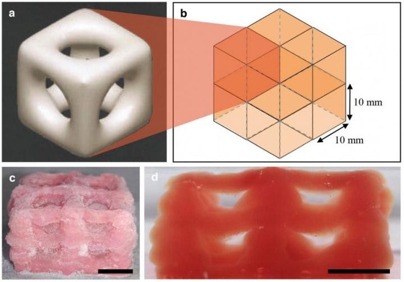 griottot's tweet photo. #3DPrint #Health Great advancement for the fabrication of organs but also implants #3Dprinting creates super soft structures that replicate brain, lungs | 3D Printing Progress https://t.co/l2XbGyIkQU @Patient_Numerik @LionelREICHARDT #3D4Health https://t.co/VgFVJjh0jG