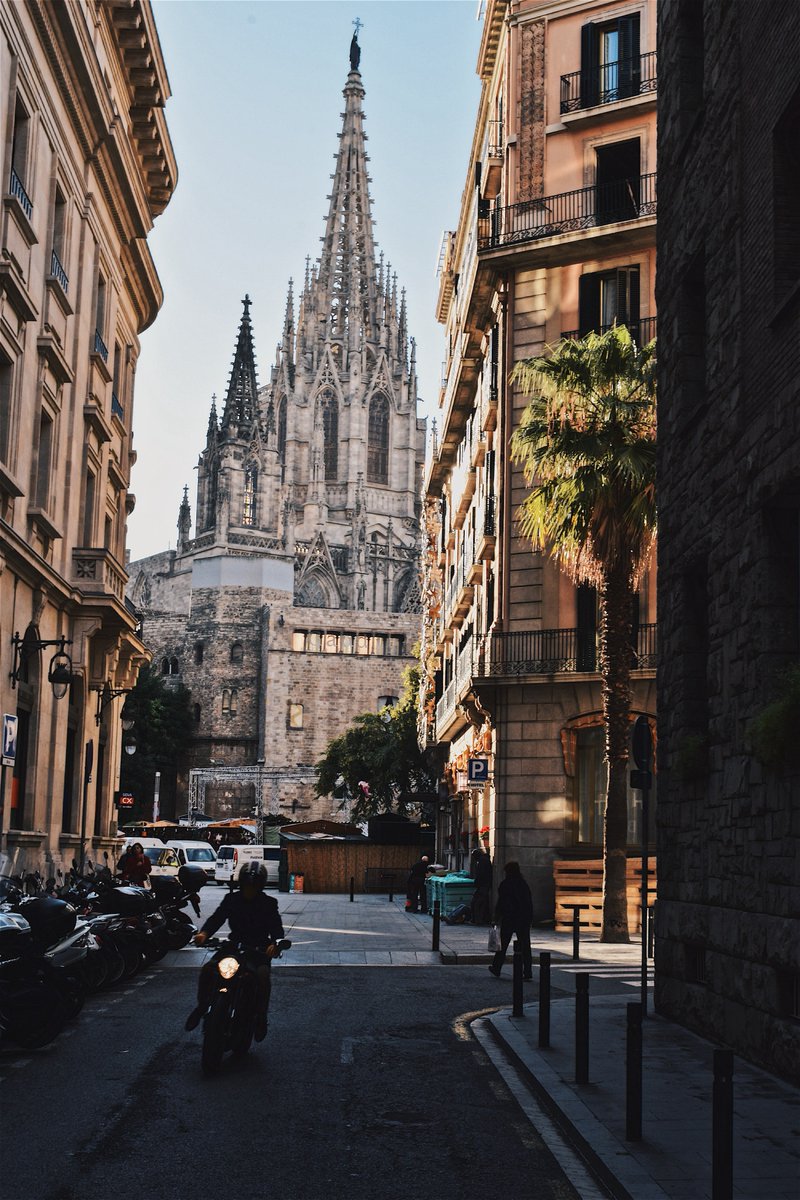 LudwigTalks's tweet photo. Barcelona Cathedral ✨ https://t.co/CW20YBk3gG