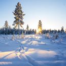 Wer sagt, dass -34 Grad schlimm sein müssen? Was für ein herrlicher Wintertag ☺️