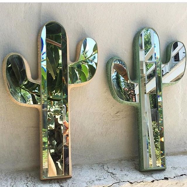 secretsofgreen's tweet photo. ๐ตC.R.E.A.T.I.V.E. C.A.C.T.I.๐ต
via: https://t.co/azM9TxMDRv
#secretsofgreen #Cactus #mirror #inspiration https://t.co/J1rv8kv8sX