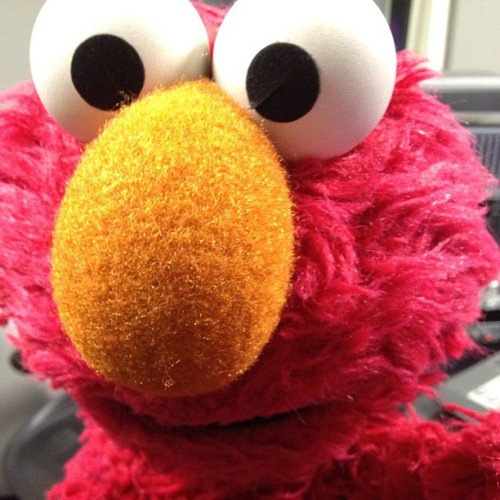elmo on twitter elmo tried to take a selfie it s harder than it