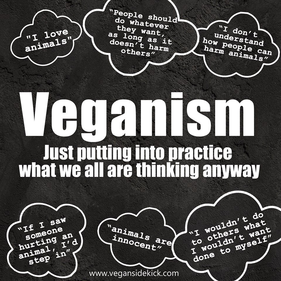 Veganisme brengt in de praktijk wat veruit de meeste mensen al denken en  vinden over hoe we anderen, mensen én dieren, zouden moeten behandelen.