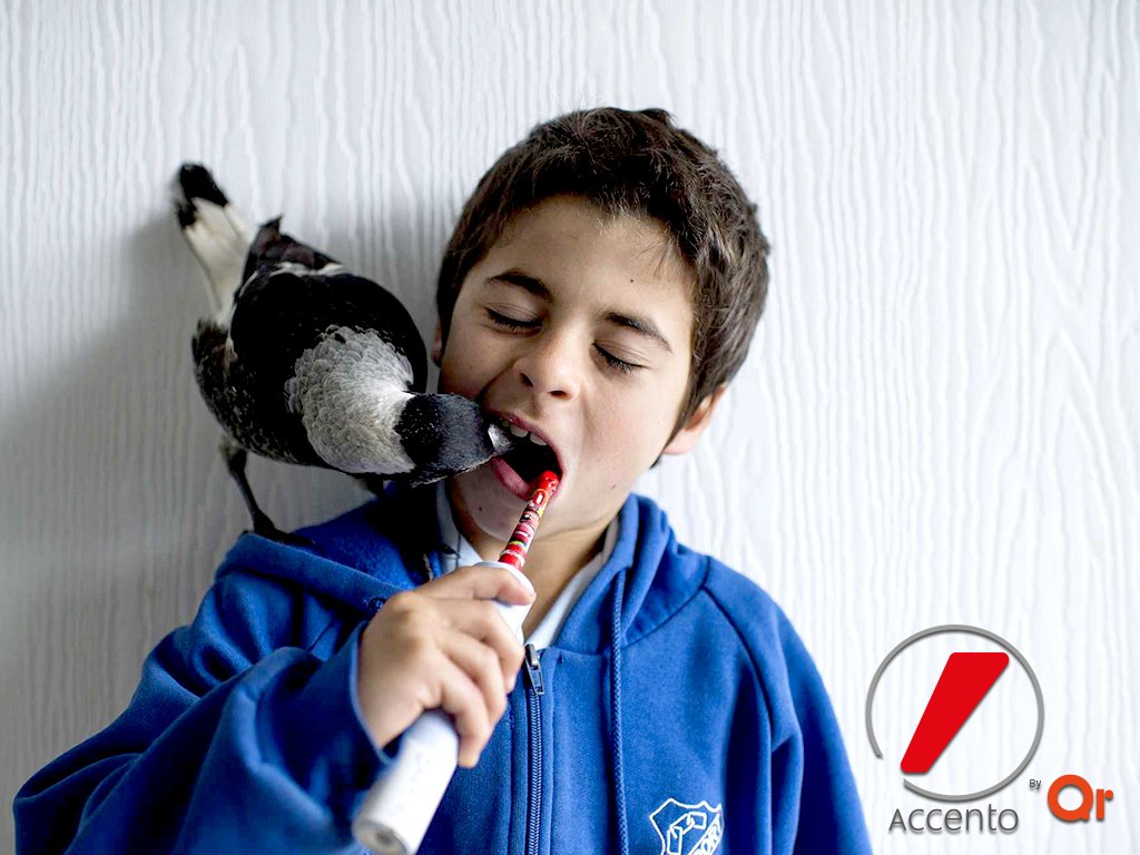 accento_co's tweet photo. Porque los amigos vienen de diferentes formas y procedencias, pero siempre están junto a ti. Nos esmeramos para siempre acompañarte y crear contigo experiencias inolvidables ¡Somos soluciones empresariales! 👉https://t.co/1iW48noByc #Consulting #Branding #Markeing #FelizMiercoles https://t.co/fv9Z3EiIcy