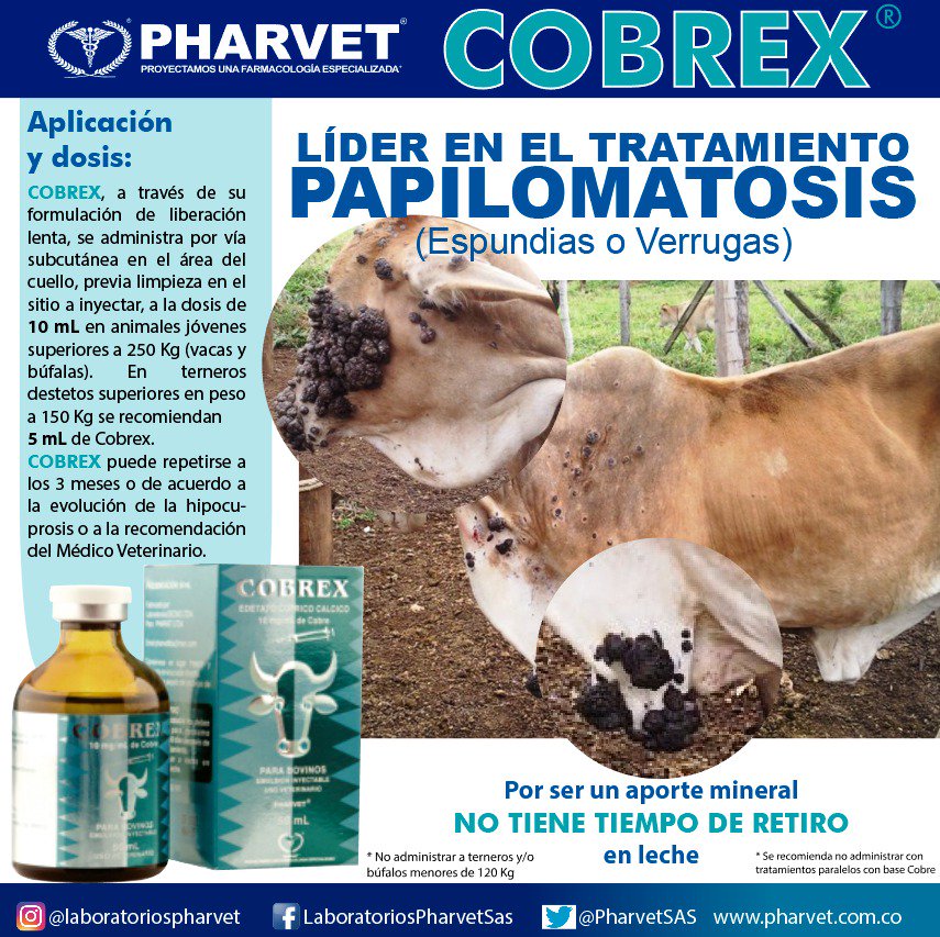 papilomatosis de bovinos)