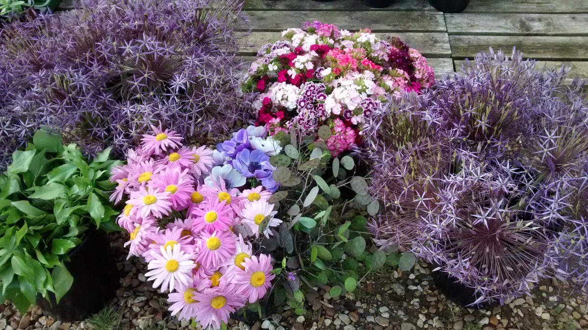 BrambleandYarn's tweet photo. A reminder of the gorgeous soft colours of #Mayflowers in this picture of #bucketsofblooms for those #diybrides who want to do their own thing...get creative! #weddingflowers #norfolkflowers #norfolkflorist #flowers #springwedding https://t.co/jCyjy6AZ1e