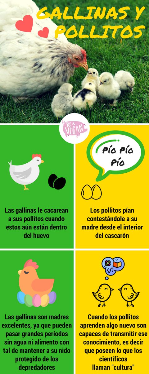 Re Vegan tweet media