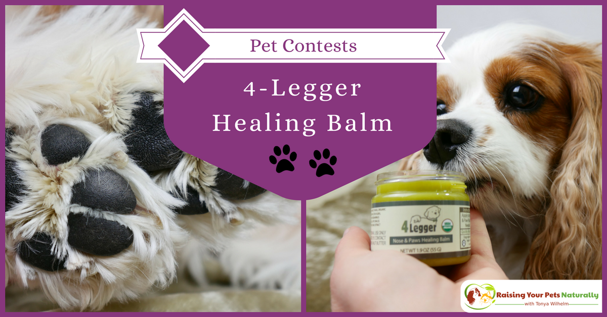 dogtrainer4ever's tweet photo. Want to try @4_Legger #organic healing balm for free? #sponsored 2 chances to #win https://t.co/8Wkq6TvLt5 Contest ends 2/6/18 #naturalpetproducts #naturalgroomingproducst #organicpets #organicdogs #petbalm #healthypets #healthydogs #petcontest #giveaway #petphotocontest https://t.co/VQN4EwXjNq